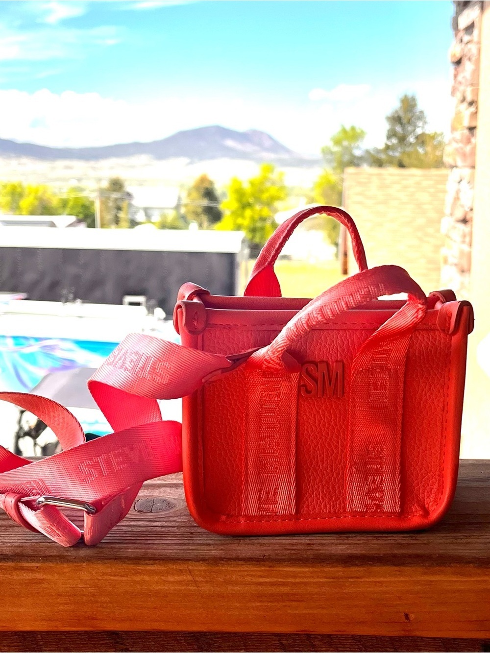 Ultra Mini Steve Madden purse